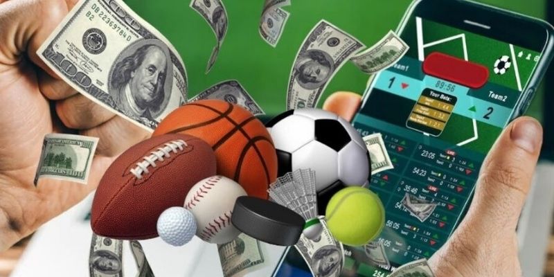4 bước tham gia sảnh thể thao tại nhà cái trực tuyến VSBET