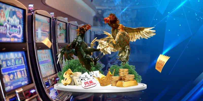 Giải pháp tăng lực cho chiến kê thi đấu