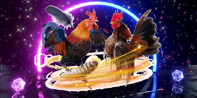 Hướng dẫn dùng thuốc cho gà đá chuẩn xác